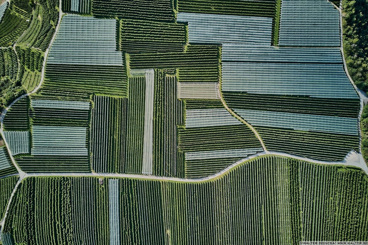  50 sfumature di verde in alta valle di Non - foto e video