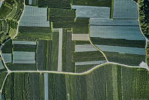50 sfumature di verde in alta valle di Non - foto e video