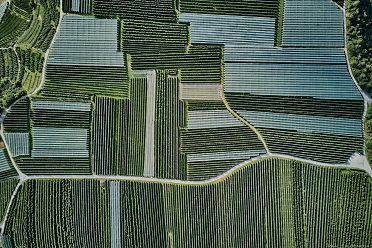 50 sfumature di verde in alta valle di Non - foto e video