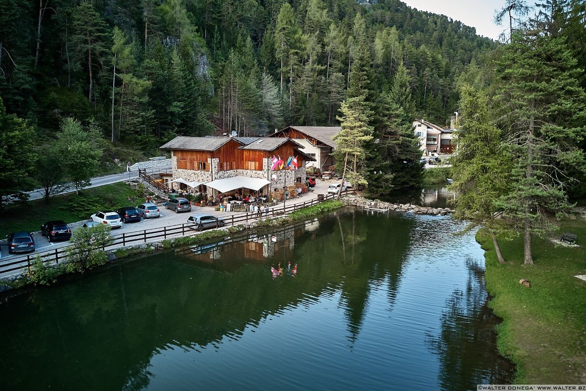  50 sfumature di verde in alta valle di Non - foto e video