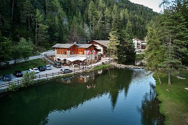 50 sfumature di verde in alta valle di Non - foto e video