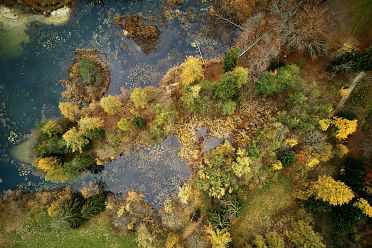Autunno al lago di Cei ed escursione alla Malga Cimana, Cimana di Pomarolo e Dos Pagano.