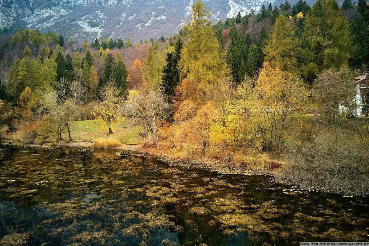  Autunno al lago di Cei ed escursione alla Malga Cimana, Cimana di Pomarolo e Dos Pagano.