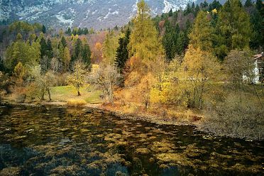Autunno al lago di Cei ed escursione alla Malga Cimana, Cimana di Pomarolo e Dos Pagano.