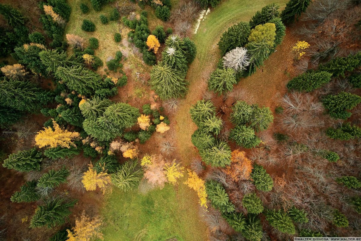  Autunno al lago di Cei ed escursione alla Malga Cimana, Cimana di Pomarolo e Dos Pagano.