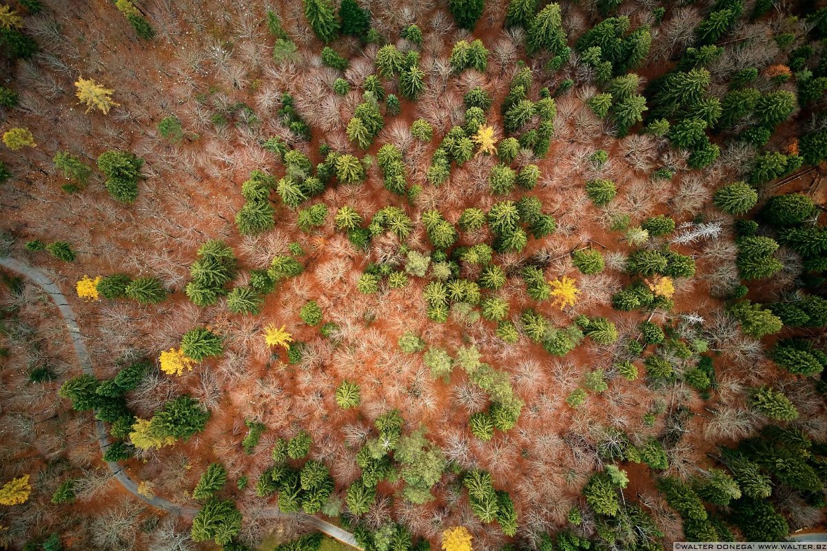  Autunno al lago di Cei ed escursione alla Malga Cimana, Cimana di Pomarolo e Dos Pagano.