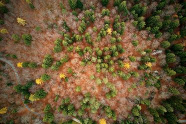 Autunno al lago di Cei ed escursione alla Malga Cimana, Cimana di Pomarolo e Dos Pagano.