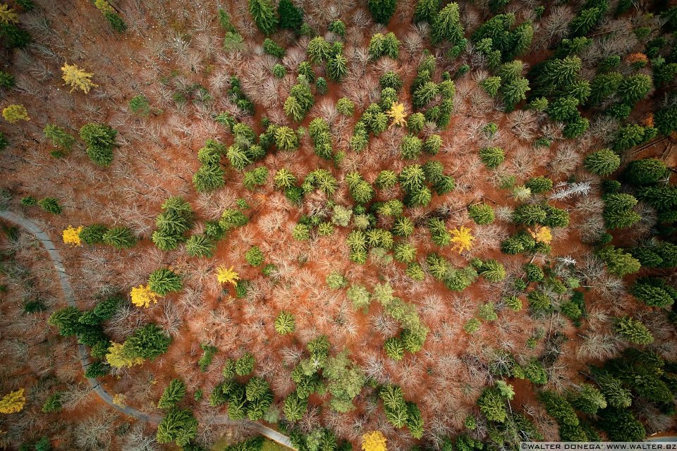 Autunno al lago di Cei ed escursione alla Malga Cimana, Cimana di Pomarolo e Dos Pagano.