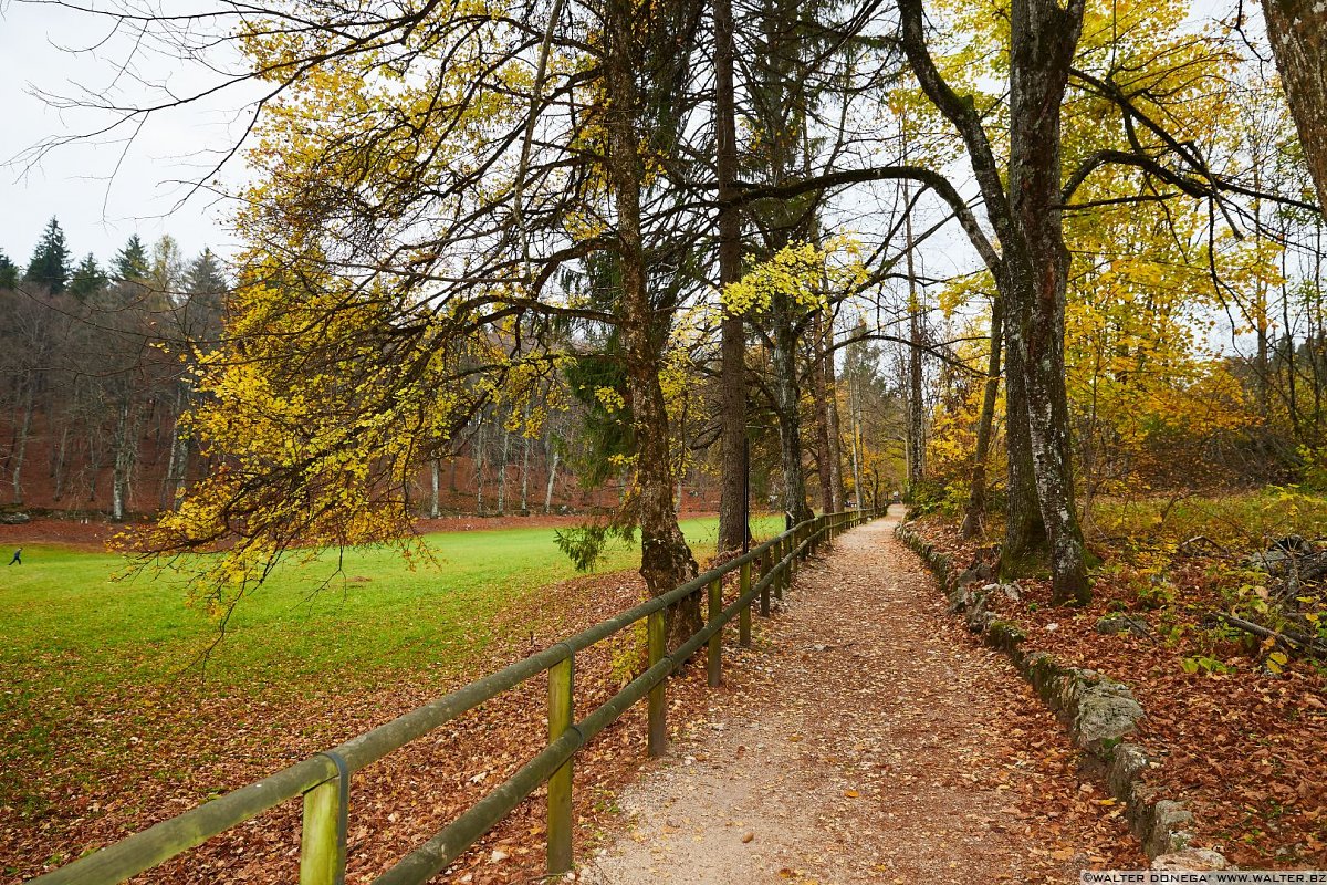  Autunno al lago di Cei ed escursione alla Malga Cimana, Cimana di Pomarolo e Dos Pagano.