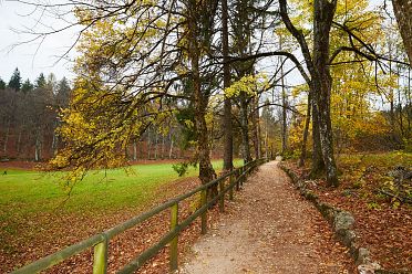 Autunno al lago di Cei ed escursione alla Malga Cimana, Cimana di Pomarolo e Dos Pagano.