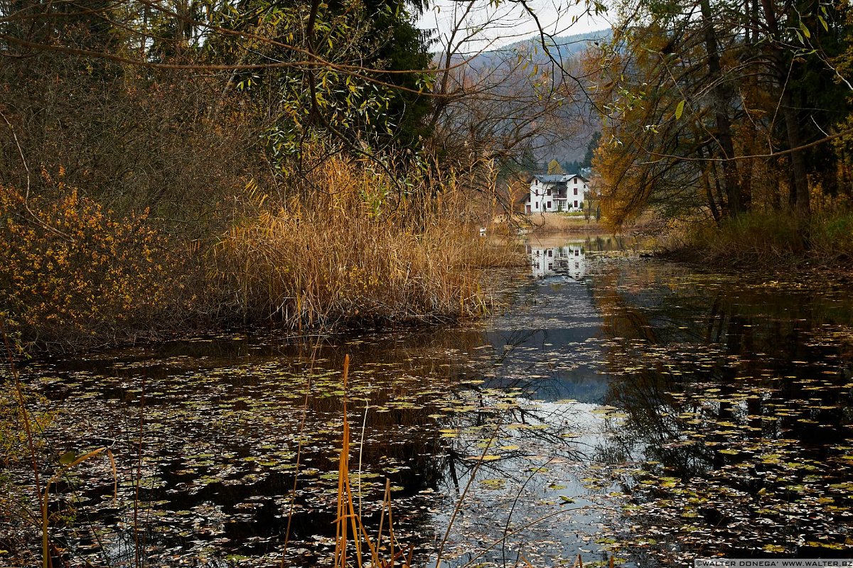  Autunno al lago di Cei ed escursione alla Malga Cimana, Cimana di Pomarolo e Dos Pagano.