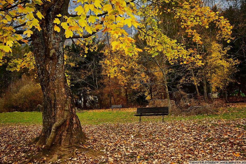 Autunno al lago di Cei ed escursione alla Malga Cimana, Cimana di Pomarolo e Dos Pagano.