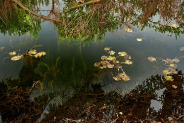 Autunno al lago di Cei ed escursione alla Malga Cimana, Cimana di Pomarolo e Dos Pagano.