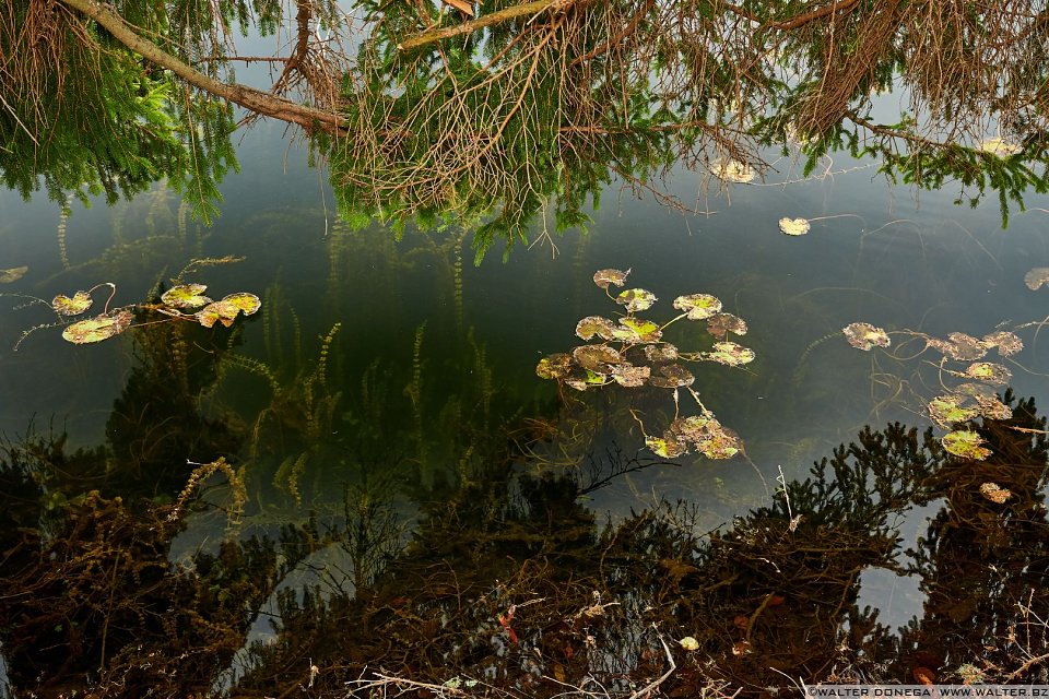 Autunno al lago di Cei ed escursione alla Malga Cimana, Cimana di Pomarolo e Dos Pagano.