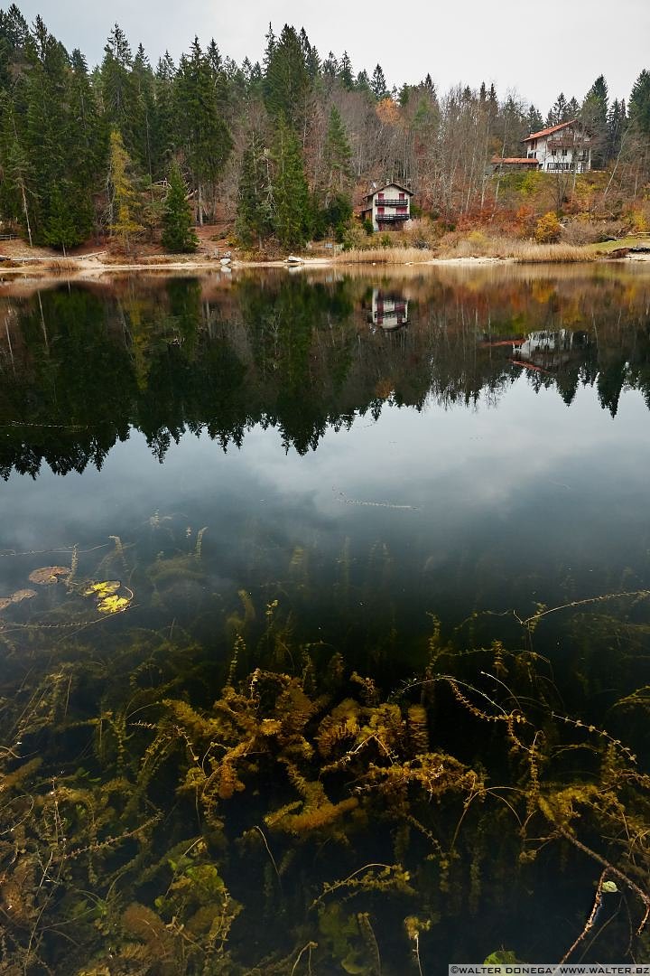  Autunno al lago di Cei ed escursione alla Malga Cimana, Cimana di Pomarolo e Dos Pagano.