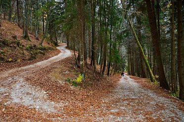 Autunno al lago di Cei ed escursione alla Malga Cimana, Cimana di Pomarolo e Dos Pagano.
