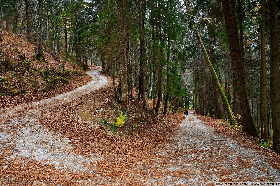 Autunno al lago di Cei ed escursione alla Malga Cimana, Cimana di Pomarolo e Dos Pagano.