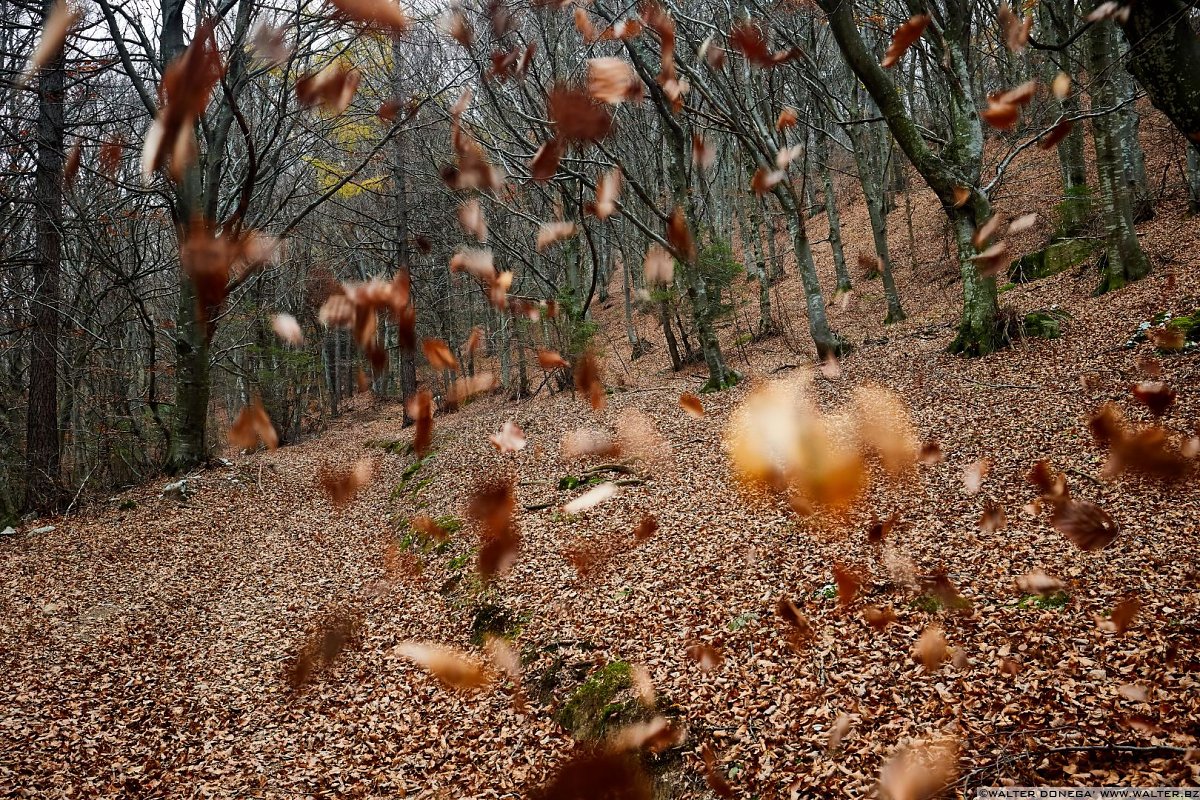  Autunno al lago di Cei ed escursione alla Malga Cimana, Cimana di Pomarolo e Dos Pagano.