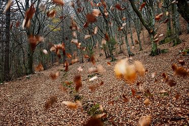 Autunno al lago di Cei ed escursione alla Malga Cimana, Cimana di Pomarolo e Dos Pagano.