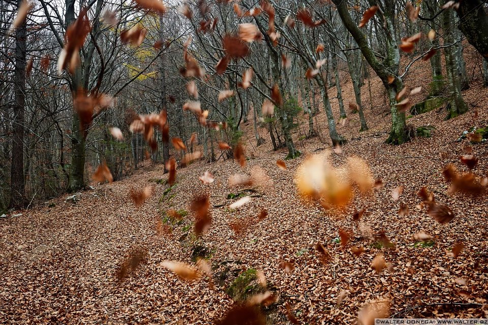Autunno al lago di Cei ed escursione alla Malga Cimana, Cimana di Pomarolo e Dos Pagano.