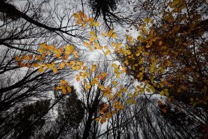 Autunno al lago di Cei ed escursione alla Malga Cimana, Cimana di Pomarolo e Dos Pagano.