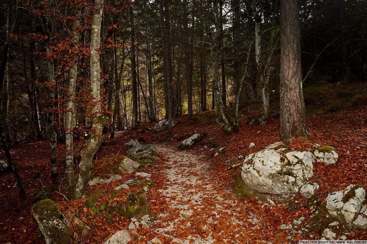  Autunno al lago di Tovel