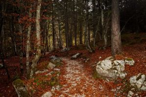 Autunno al lago di Tovel