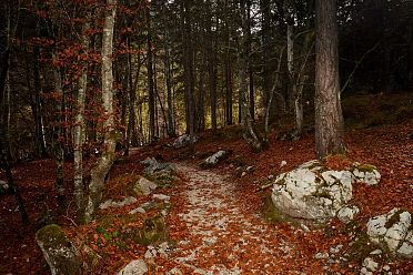 Autunno al lago di Tovel
