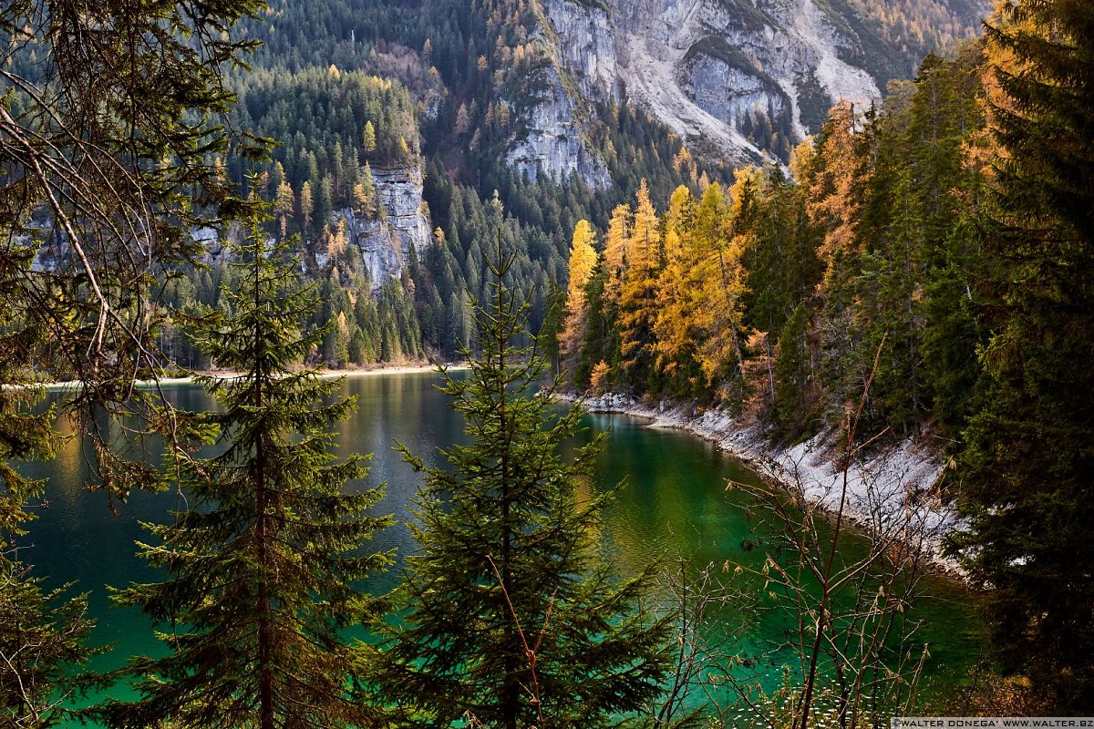  Autunno al lago di Tovel