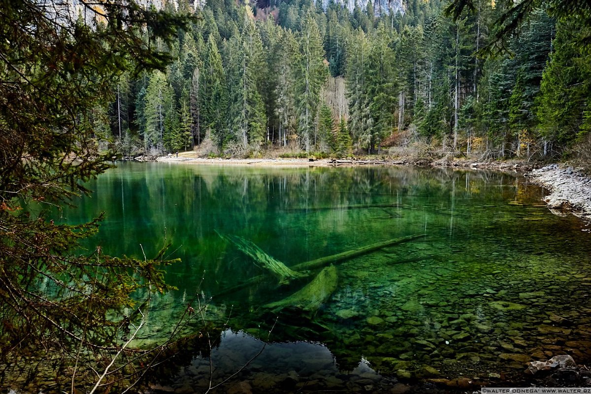  Autunno al lago di Tovel