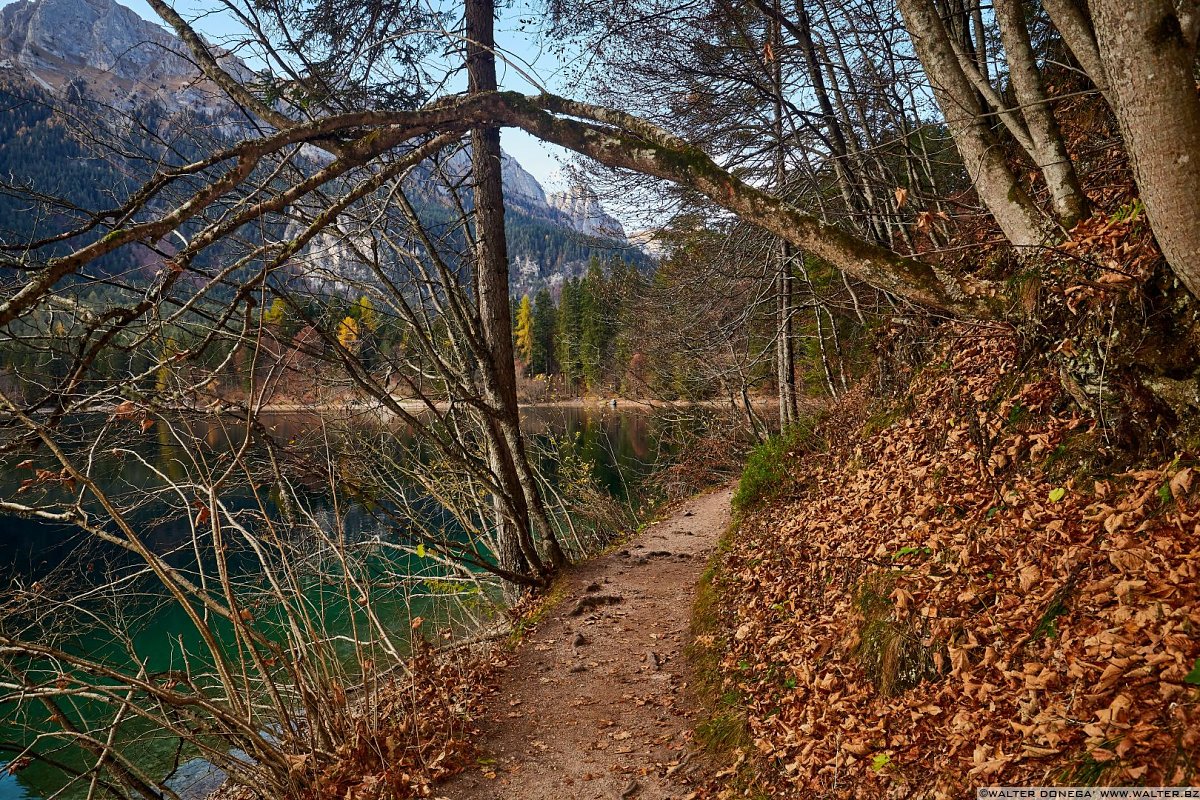  Autunno al lago di Tovel