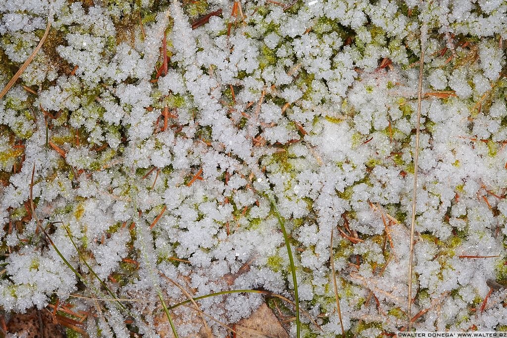 Ghiaccio e brina - 10 Inverno ghiacciato al Lago Smeraldo