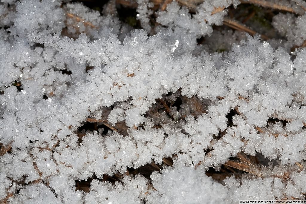 Ghiaccio e brina - 11 Inverno ghiacciato al Lago Smeraldo