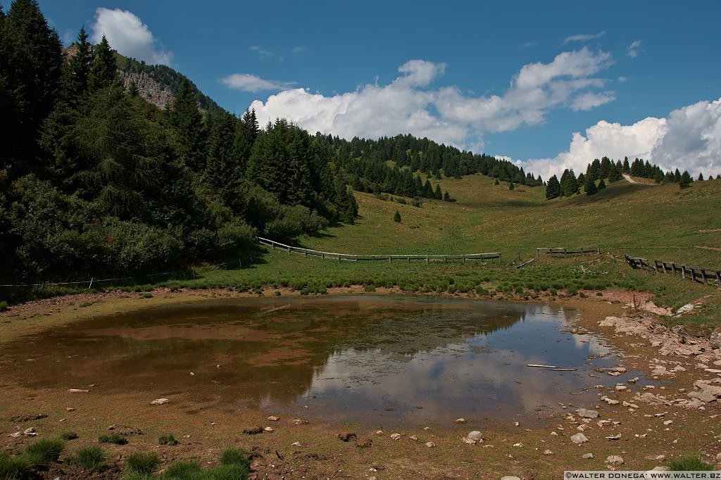 Giro del monte Peller Trentino Alto Adige, Trentino, viaggi e varie