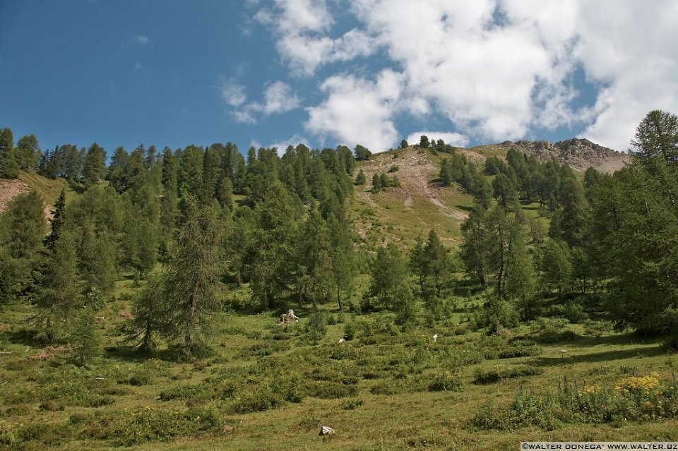 24 Giro del monte Peller