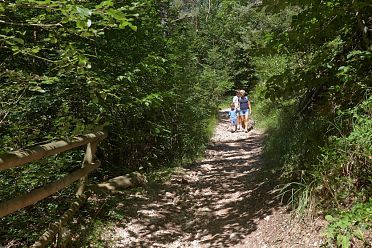 Passeggiata da Don a San Romedio 2013