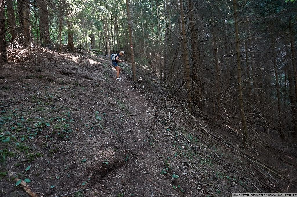 03 Passeggiata da Fondo a Dovena nella valle del torrente Novella 1999-2013