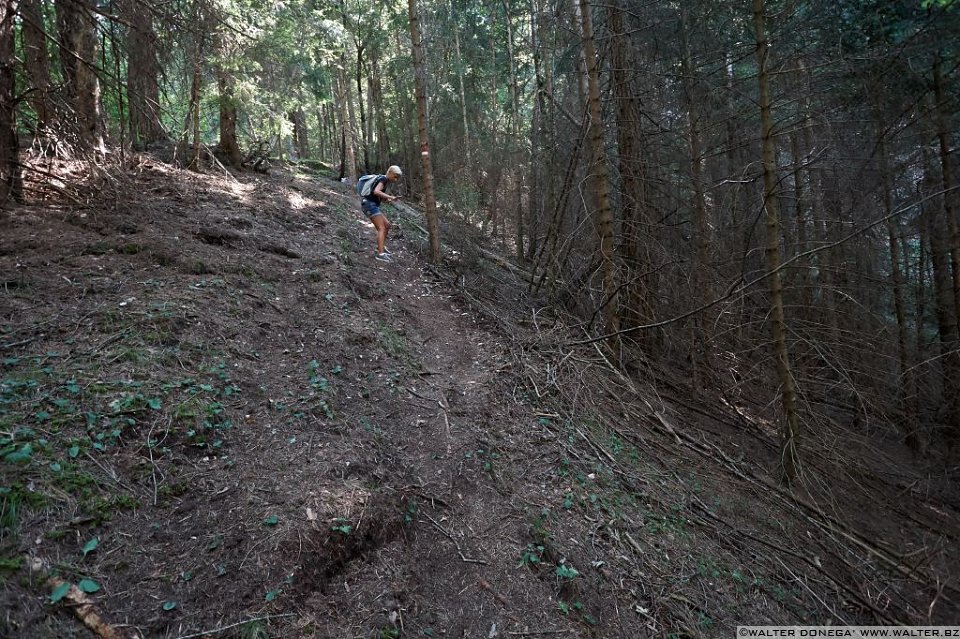 03 Passeggiata da Fondo a Dovena nella valle del torrente Novella 1999-2013