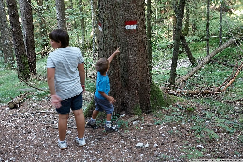 05 Passeggiata da Fondo a Dovena nella valle del torrente Novella 1999-2013