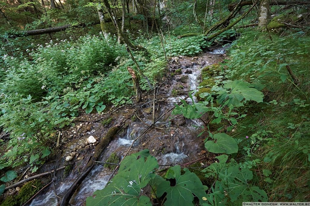 07 Passeggiata da Fondo a Dovena nella valle del torrente Novella 1999-2013