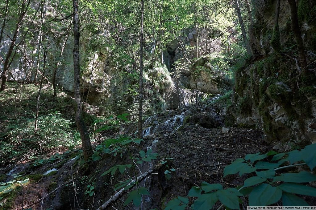 11 Passeggiata da Fondo a Dovena nella valle del torrente Novella 1999-2013