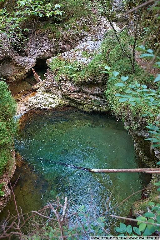 24 Passeggiata da Fondo a Dovena nella valle del torrente Novella 1999-2013