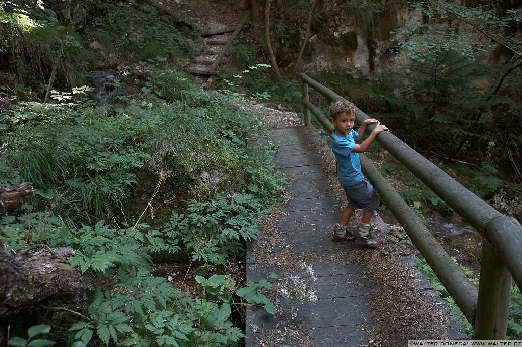 27 Passeggiata da Fondo a Dovena nella valle del torrente Novella 1999-2013