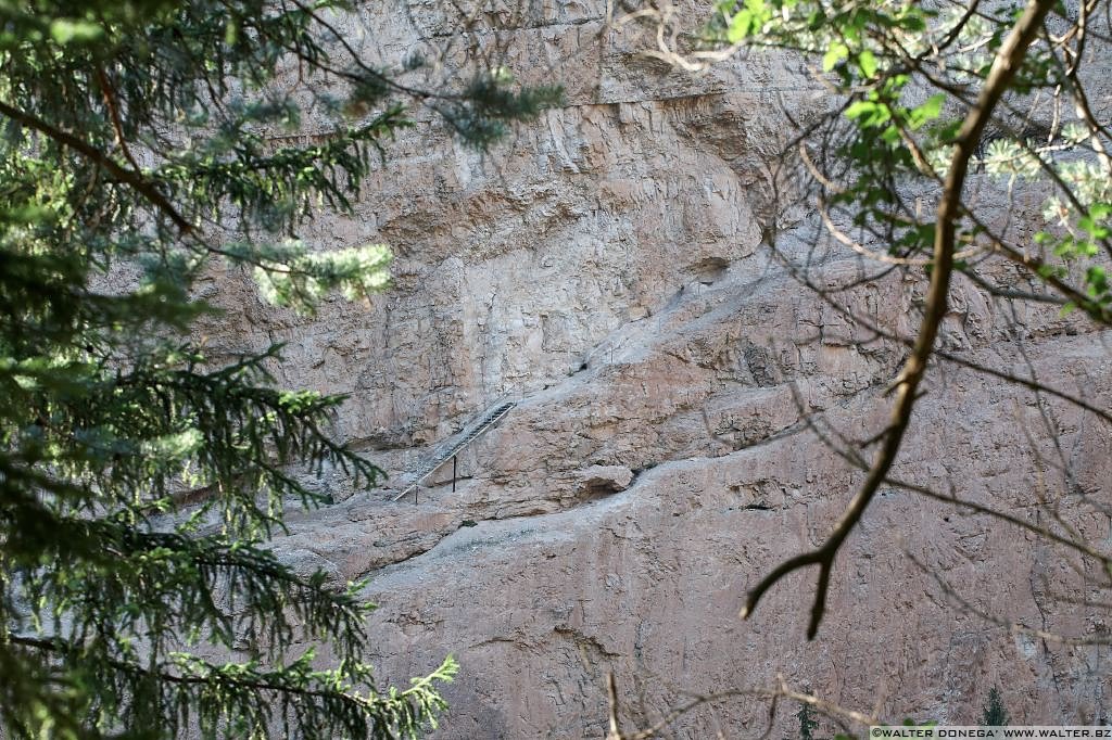 28 Passeggiata da Fondo a Dovena nella valle del torrente Novella 1999-2013