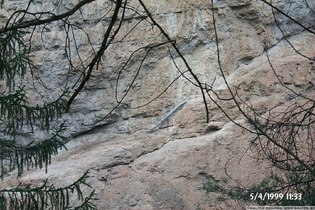 29 Passeggiata da Fondo a Dovena nella valle del torrente Novella 1999-2013