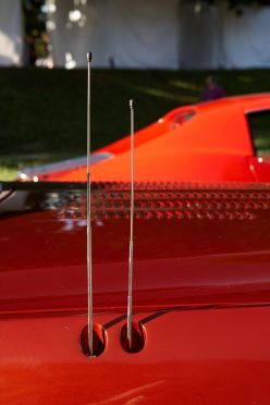 Auto americane all'Elvis Days di Treviso