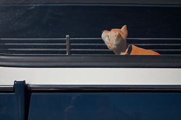 Dettagli di auto d'epoca