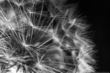 Mostra fotografica |DIFFERENT |SENSATIONS