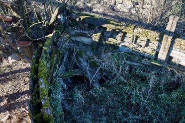 Il Cimitero dei Burci sul Sile