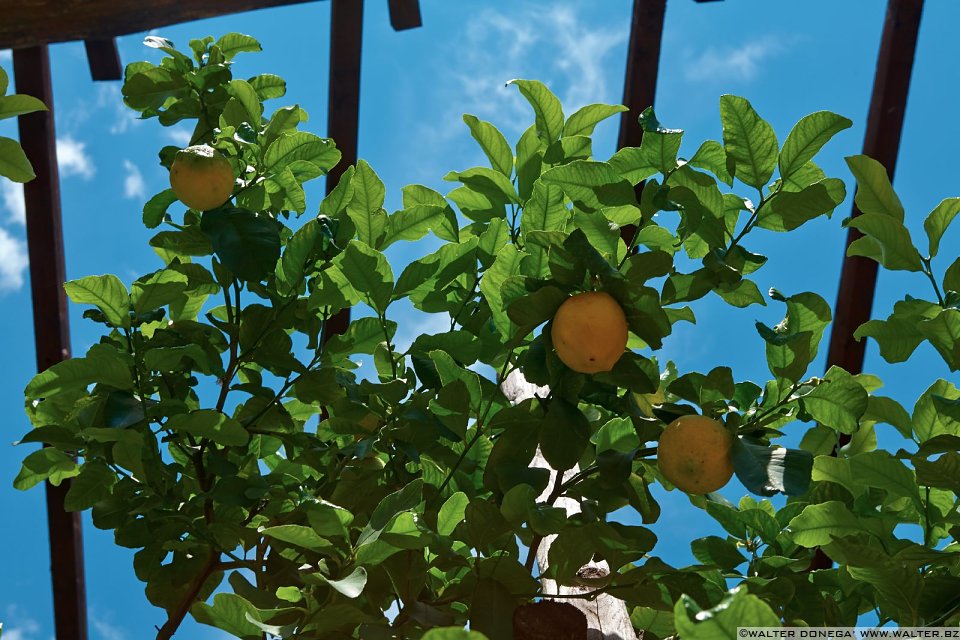 IMG_4735 Limonaie del Garda